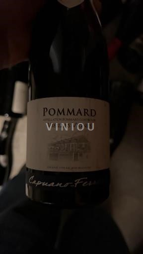 Burgundia Pommard Capuano-Ferreri Vielles Vignes Nemilésimat