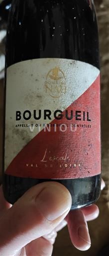 Valea Loarei Bourgueil Domaine Nadège NAJOS L'escale 2022