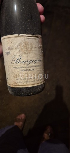 Burgundi Bourgogne Ciry Berrouet 2001