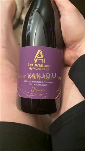 Burgundia Mâcon și mâcon-sate Les Arbillons Umami 2023