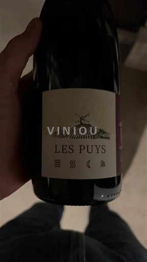 Valea Loarei Saumur-Champigny Domaine Roches Neuves Les Puys Nemilésimat