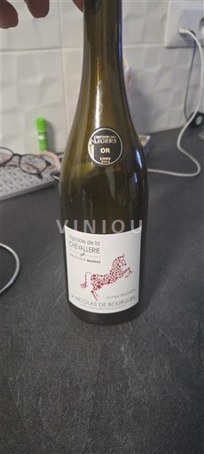 Valea Loarei Saint-Nicolas-De-Bourgueil Vignoble de la Chevalerie Cheval 2024