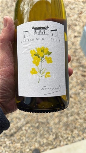 Loiredalen Anjou Château Belleville Escapade Icke årgångsbetecknad