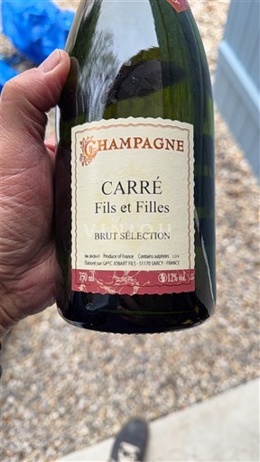 Champagne Șampanie Carré Fils et Filles Brut Sélection 2014