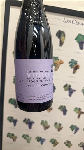Valea Loarei Saumur-Champigny Domaine Roches Neuves 2020
