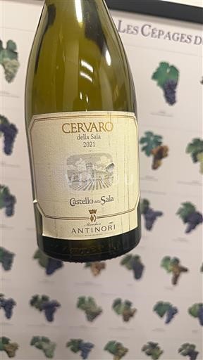 Umbria Nespecificat Castello della Sala Cervaro della Sala 2021