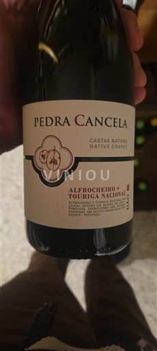 Portugalia Dão Pedra Cancela Alfrocheiro  Touriga Nacional 2020