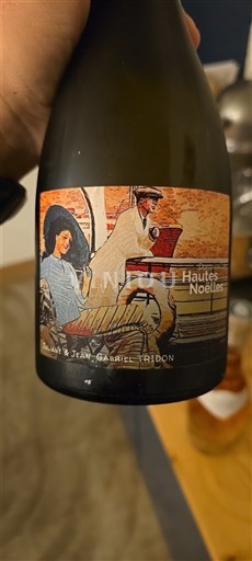 Valea Loarei Muscadet-de-coaste-de-mare-loc. Hautes Noëlles La première Nemilésimat