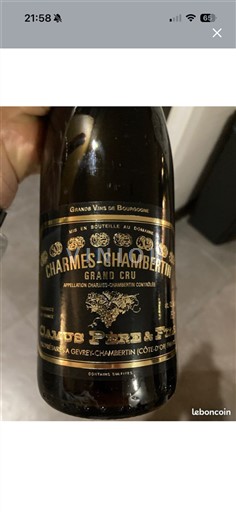Burgundia Charmes-chambertin Grand Cru Camus Père & Fils 2019