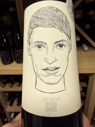 Burgenland Nespecificat Gut Oggau Cecilia 2022