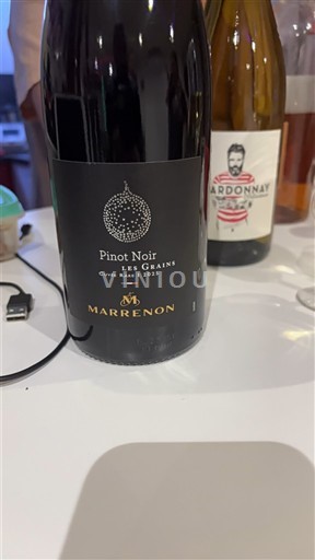 Provence, valea inferioară a Ronului, Corsica Medierraneană Marrenon Les Grains 2025