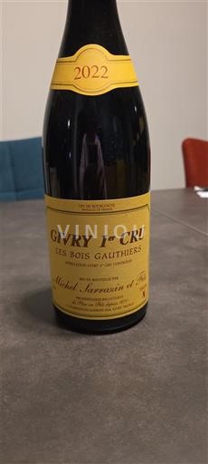 Borgogna Non specificato Premier Cru Domaine Michel Sarrazin & Fils Les Bois Gauthiers 2022