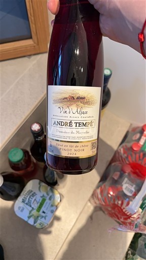 Alsacia Pinot noir André Tempé Élevé en fût de chêne 2024