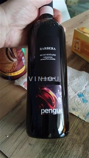 Campania Nespecificat Pengue Nemilésimat