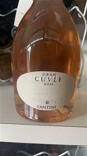 Abruzzo Nespecificat Fantini Gran Rosé Nemilésimat