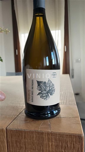 Venetia Serre Tribus Nemilésimat