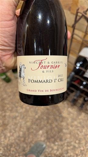 Burgundia Nespecificat Premier Cru Vincent & Gabriel Fournier & Fils 2022