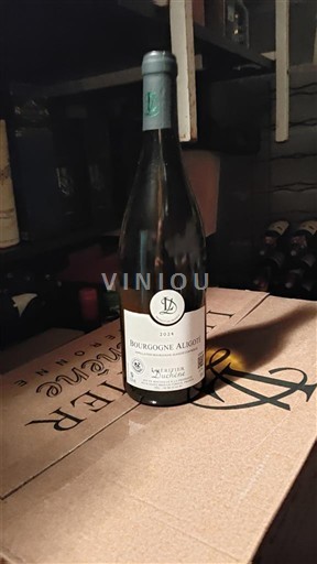 Burgundy Bourgogne Aligoté Domaine Louis Lequin 2024