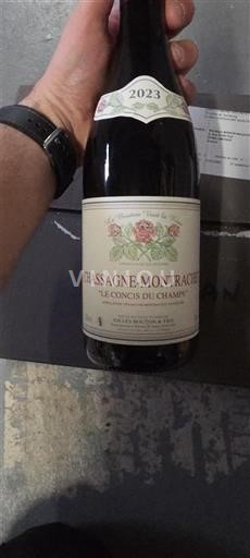 Burgundi Chassagne-Montrachet Le Concis du Champs 2023