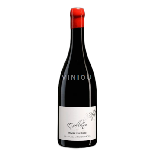Beaujolais Régnié Domaine de la Plaigne Exellence les côtes de la pierre 2022