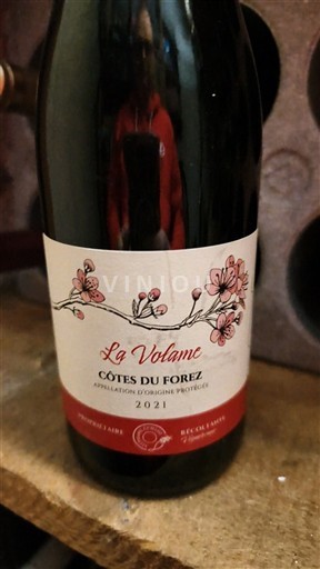 Valea Loarei Côtes-du-forez La Volane 2021