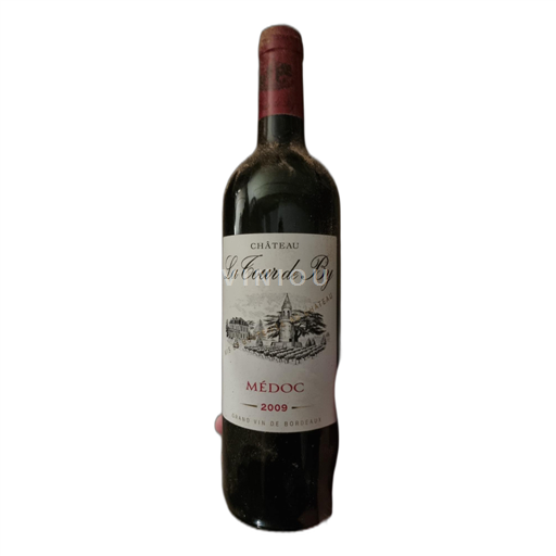Bordeaux Médoc Château La Tour de By 2009