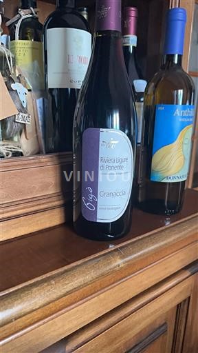 Liguria Riviera ligure di Ponente Bio Vio 2021