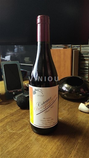 Burgundia Dealurile Burgundiei Domaine Henri Gros 2022