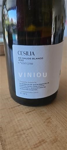 Murcia Alicante Cecilia Ad Gaude Blanco 2022