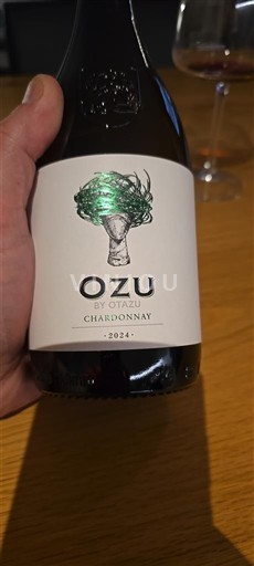 Navarra Otazu Ozu 2024