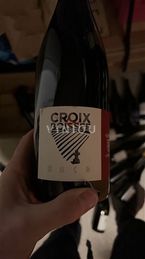 Valea Loarei Chinon Domaine La Croix Boissée 2020