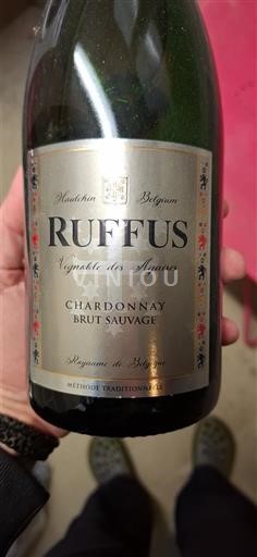 Valonia Wallonia Vignoble des Agaises Brut Sauvage 2023