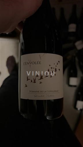 Thung lũng sông Loire Saint-Nicolas-De-Bourgueil Domaine La Cotelleraie L'Envolée 2022