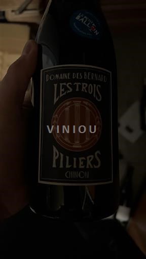 Valea Loarei Chinon Domaine Bernard Les Trois Piliers 2023