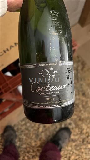 Valea Loarei Crémant de Loire Cocteaux Artiste & Franck Bulles de Fleurie Nemilésimat