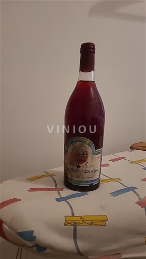 Beaujolais Domaine Louis Noe Nemilésimat