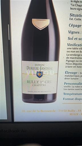 Burgundia Nespecificat Premier Cru Domaine Dureuil-Janthial Chapitre 2023