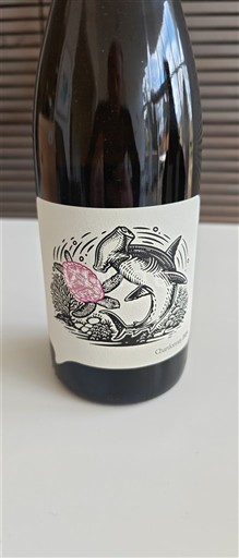 Coasta de Sud a Capului Hemel-en-Aarde La Vierge The turtle and the shark 2024