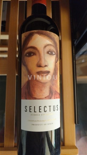 Castilia-La Mancha Bodega Los Aljibes Selectus 2017