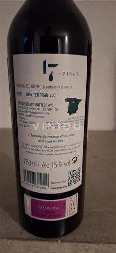 Castilia și León Ribera del Duero 17 Pinea 2020