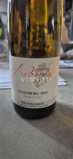 Alsacia Vignoble Arbogast Weinberg - Victor 2024