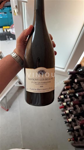 Burgundia Savigny-lès-beaune Premier Cru Camus-Bruchon et Fils 1er Cru Les Narbantons 2020