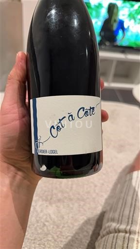 Valea Loarei Côtes-du-forez Domaine Verdier-Logel Côt à Cote 2022