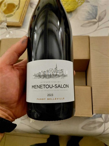 Valea Loarei Menetou-Salon Fanny Belleville Le Grand Clos-dit 2023