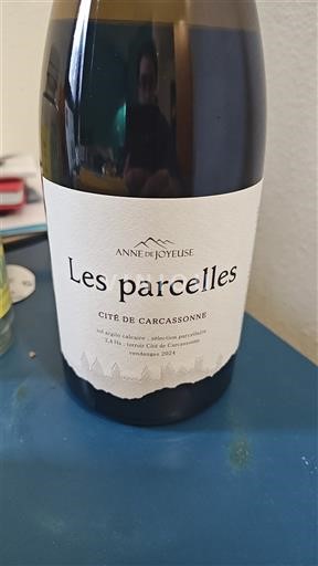 Languedoc și Roussillon Cité de Carcassonne Anne de Joyeuse Les parcelles 2024