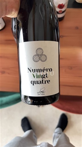 Valea Loarei Nespecificat Les Vins Pirard Numéro Vingt Quatre 2020
