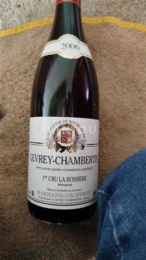Burgundia Gevrey-Chambertin Premier Cru Harmand-Geoffroy 1er Cru La Bossière 2006