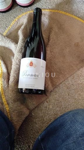 Burgundia Pommard Jean Dupasquier 2001
