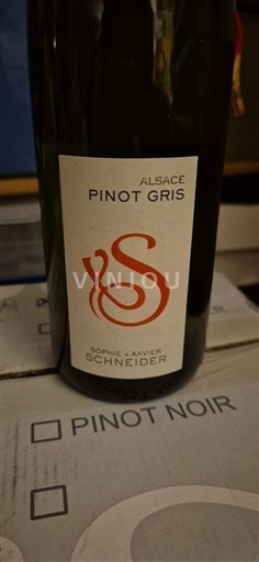 Alsacia Pinot gri Sophie & Xavier Schneider 2024