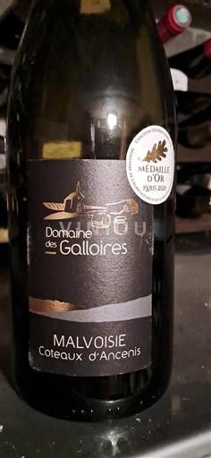 Valea Loarei Coteaux-d'Ancenis Domaine S Galloires Malvoisie 2024